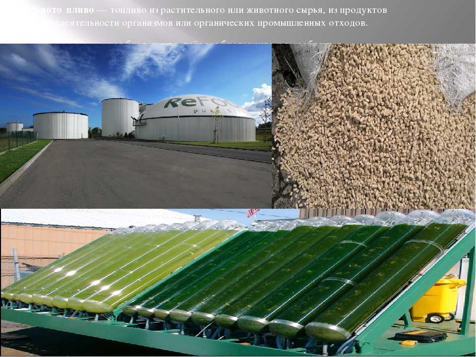 Использование биотоплива. Жидкое биотопливо биодизель. Энергия из биотоплива. Микроводоросли биотопливо. Биотопливо источник энергии.